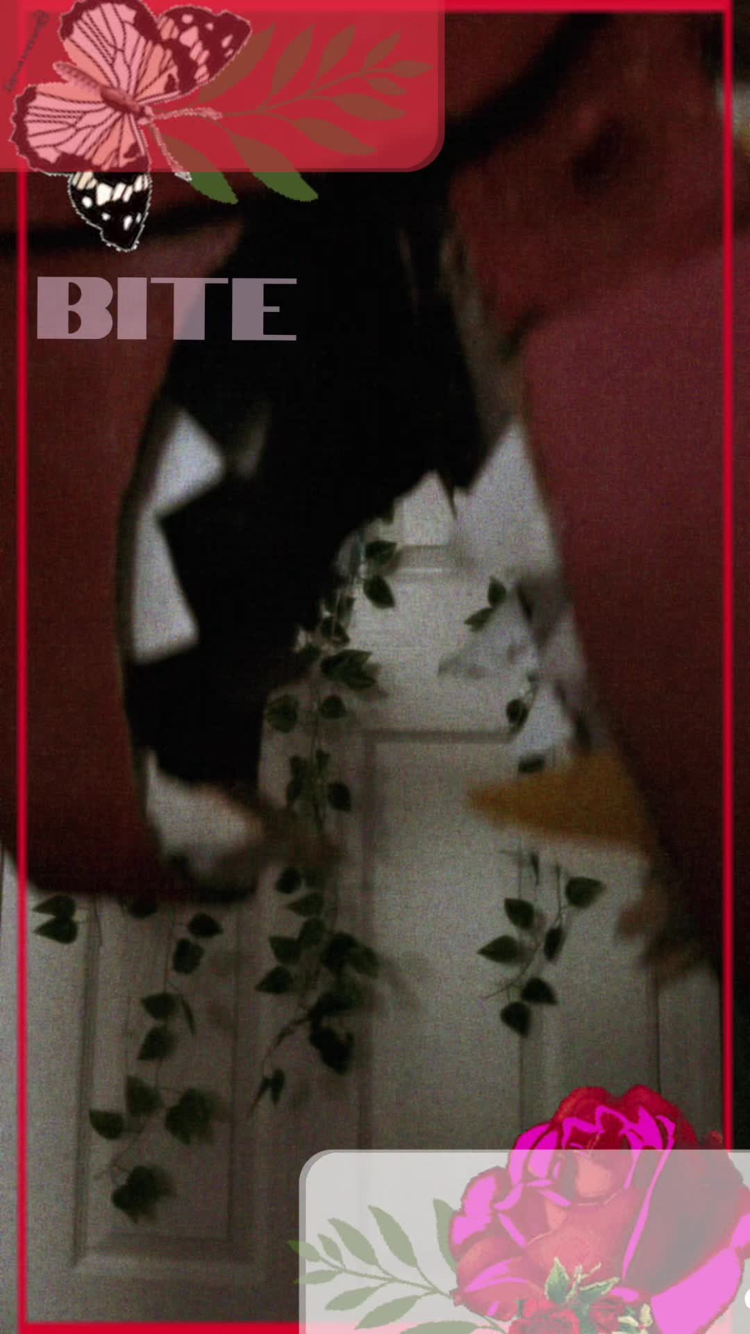 @✮ 🪲 вєєт1z._.в&nu;gz 🪲 ✮