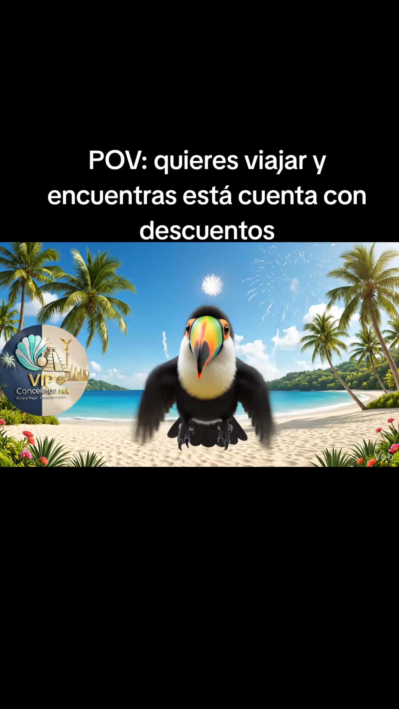 @Vip Concierge MX