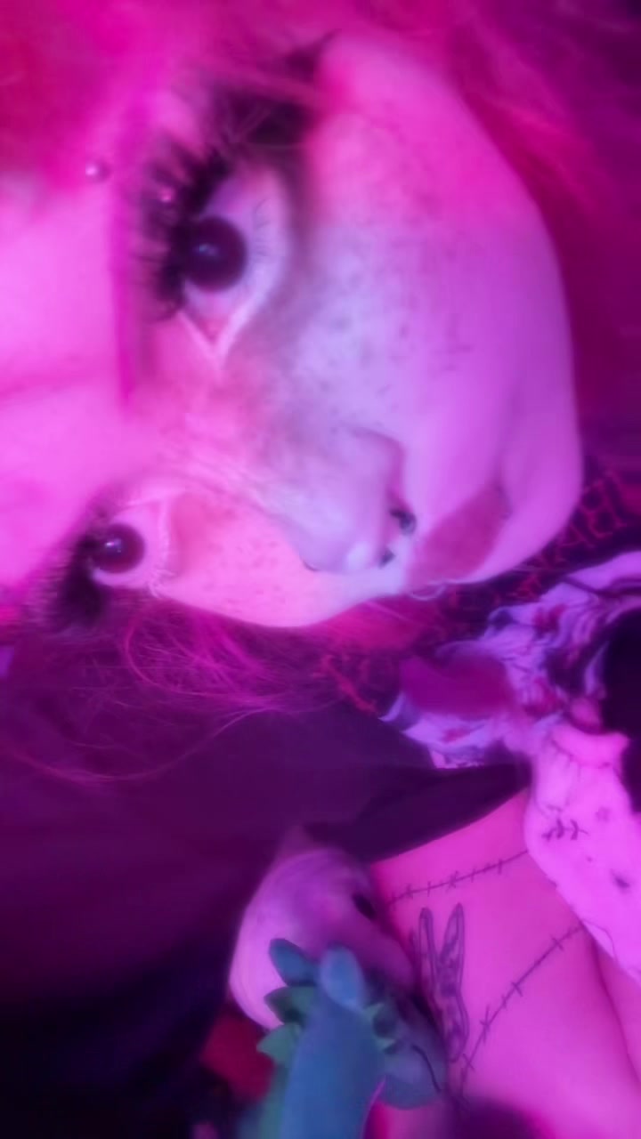 @kitty 🐈⬛