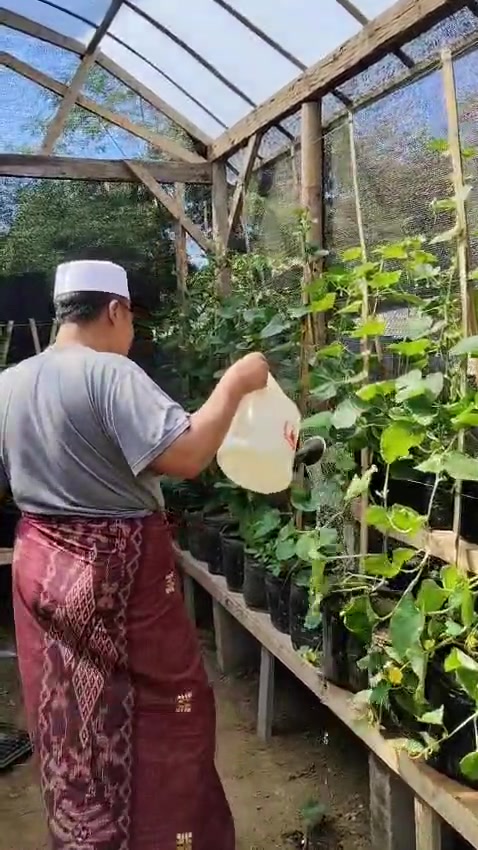 @Gus Fahrur Official
