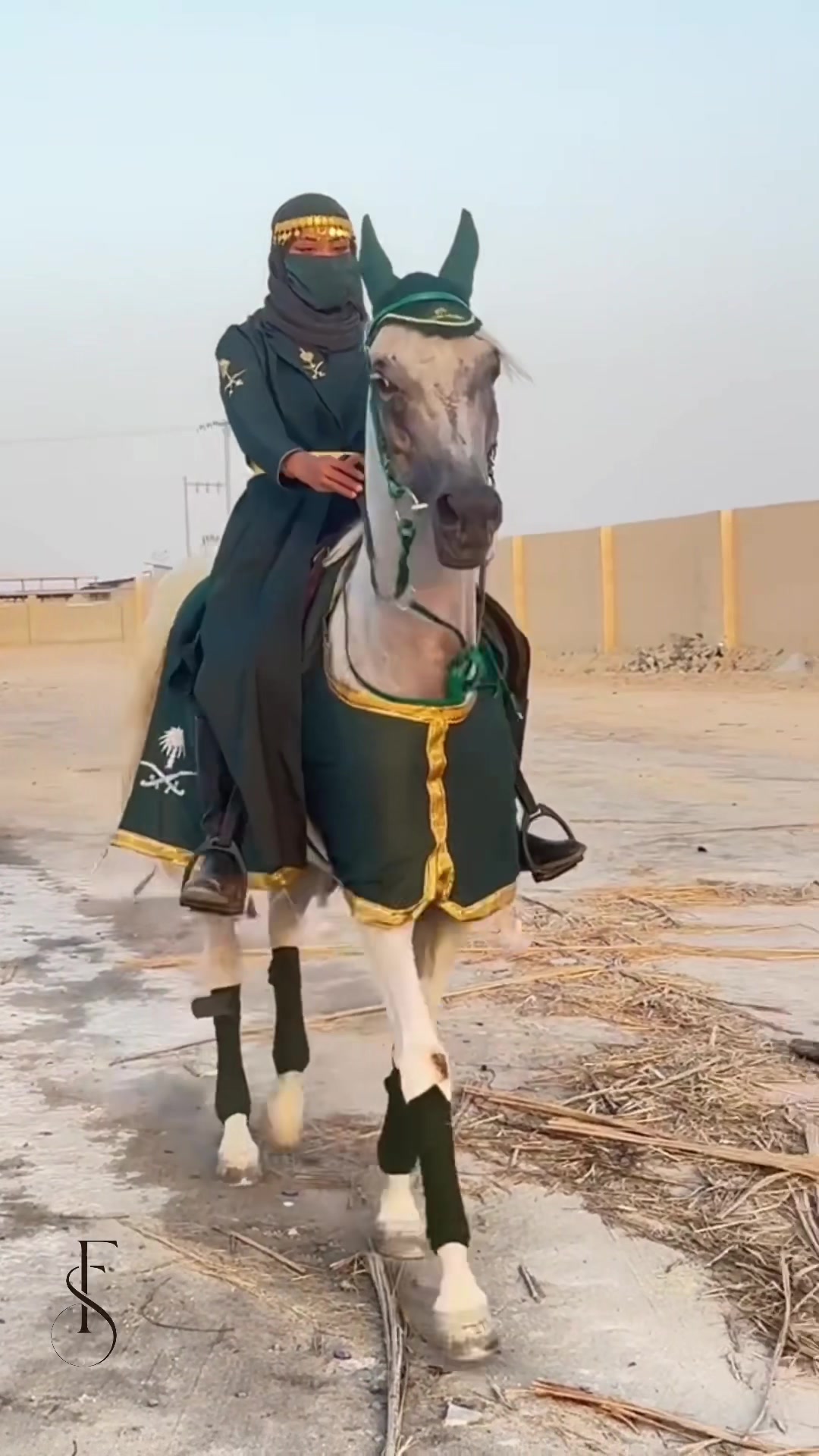 @فَآطُمہ صالح 🐎