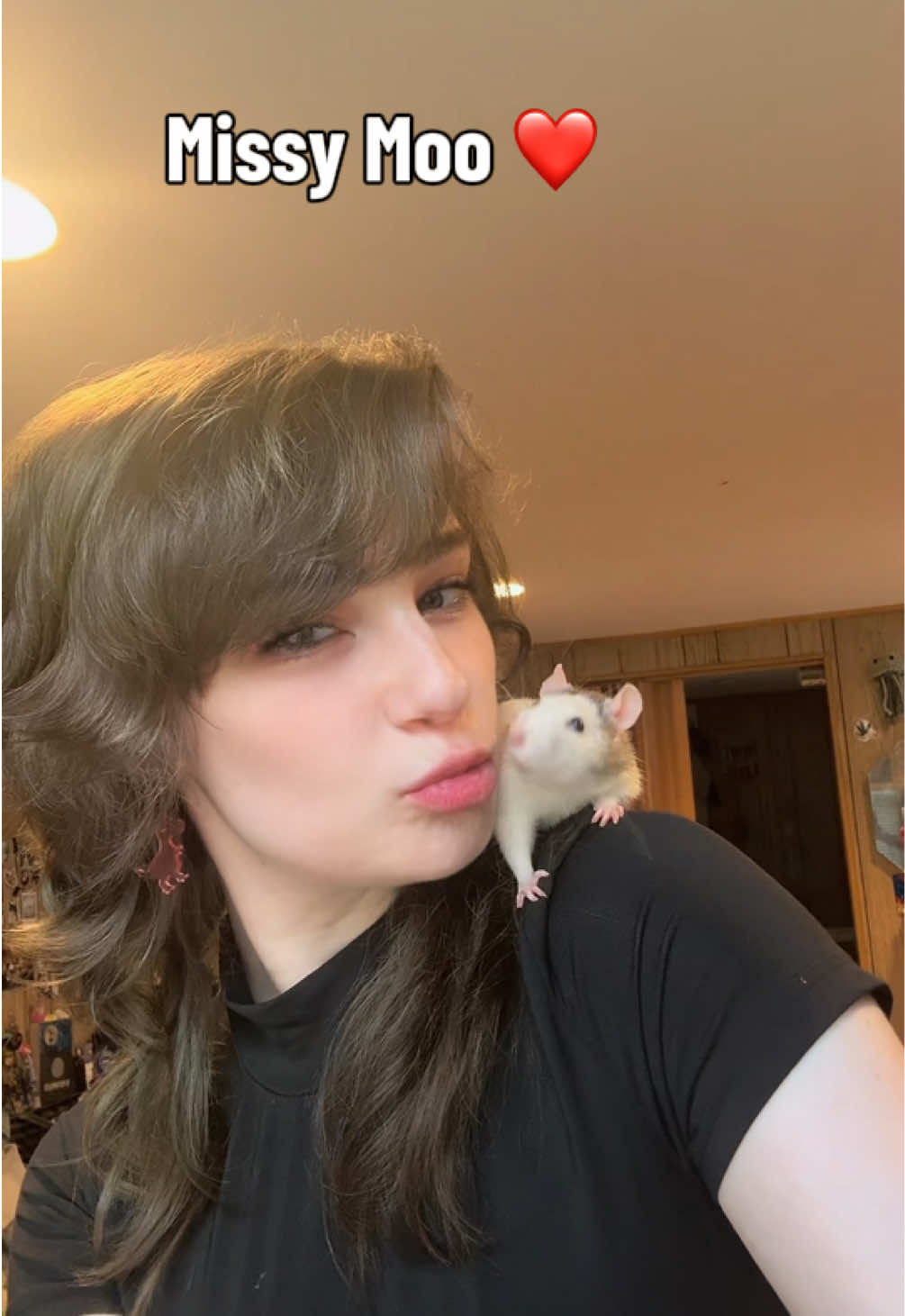 @lookatmyrodents
