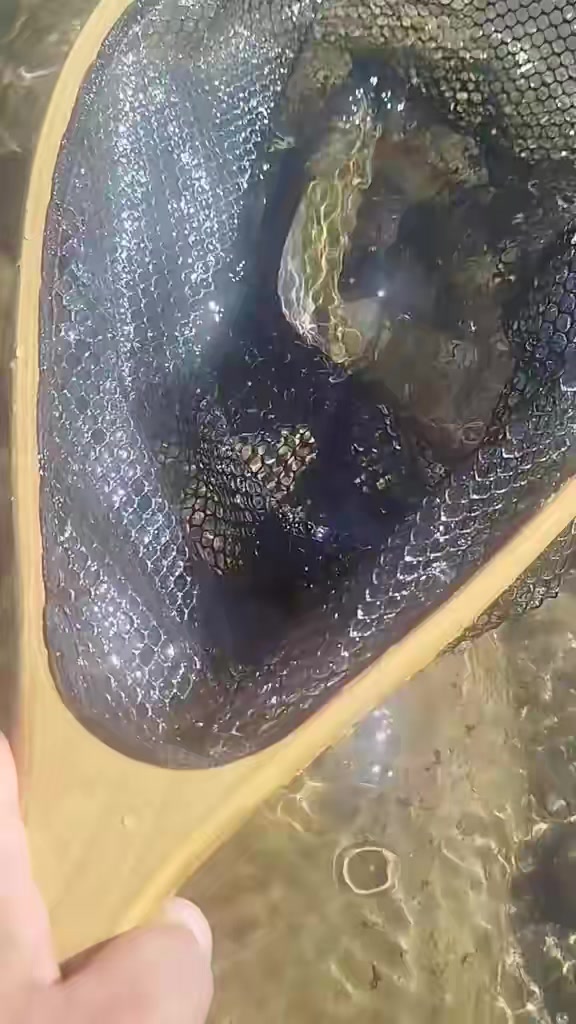 @Кирил Юртин