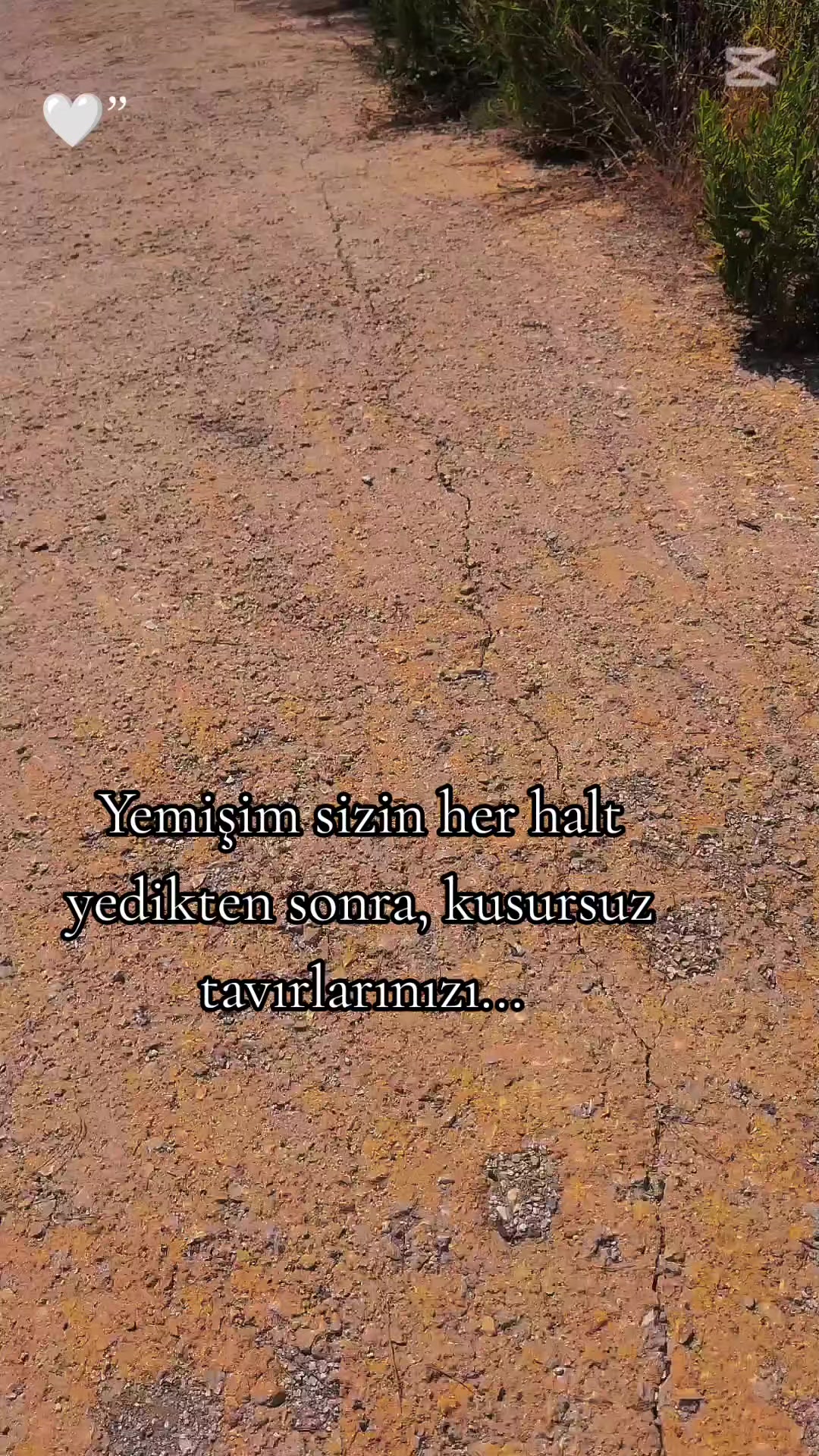@ミ★ NeÇE🍁 ZOZAN ★彡