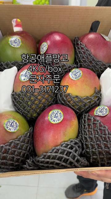 @탐보박스-야채과일