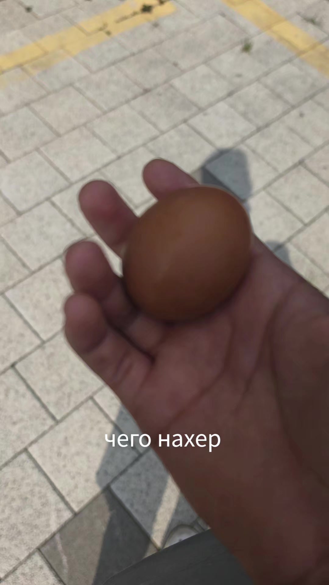 @EVLAN666