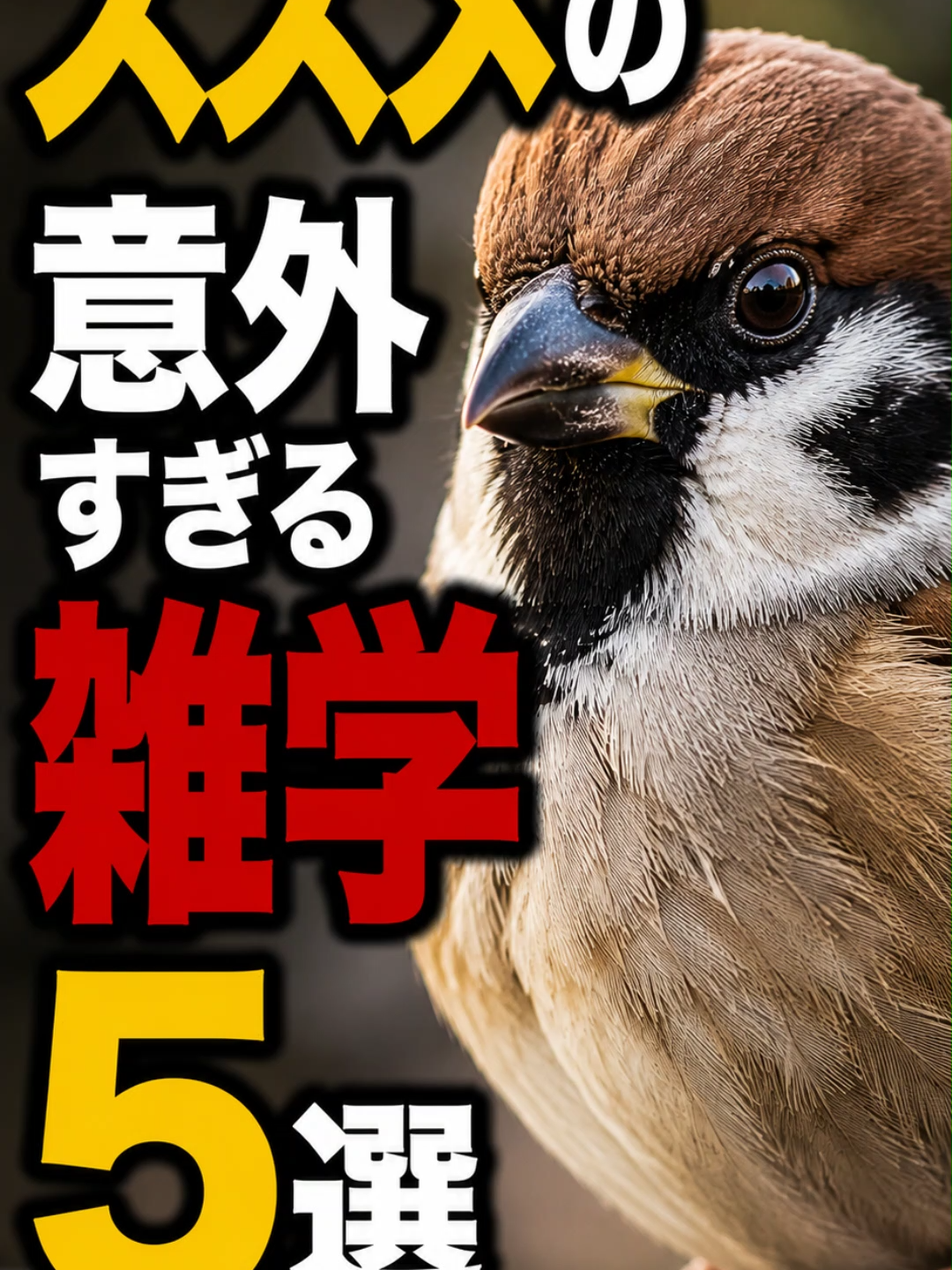 @bikkuri_animal_lab