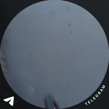 @Dav1dX