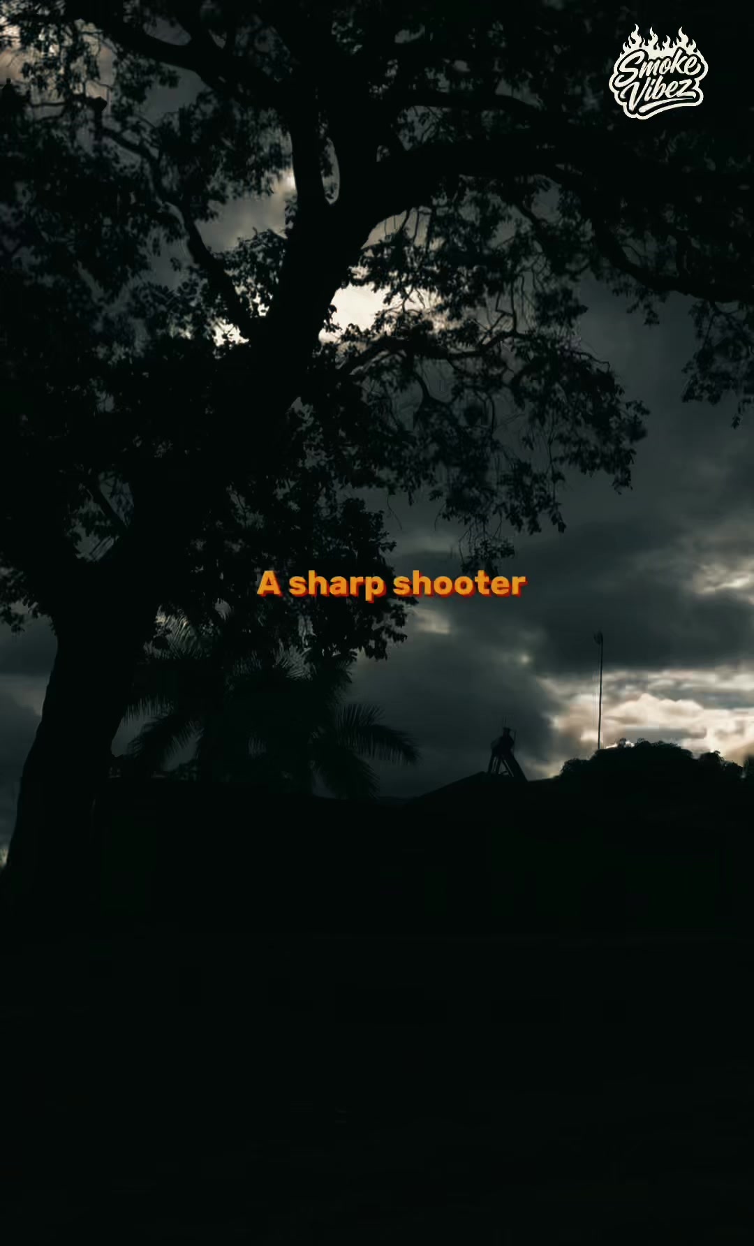 @SmokeVibez