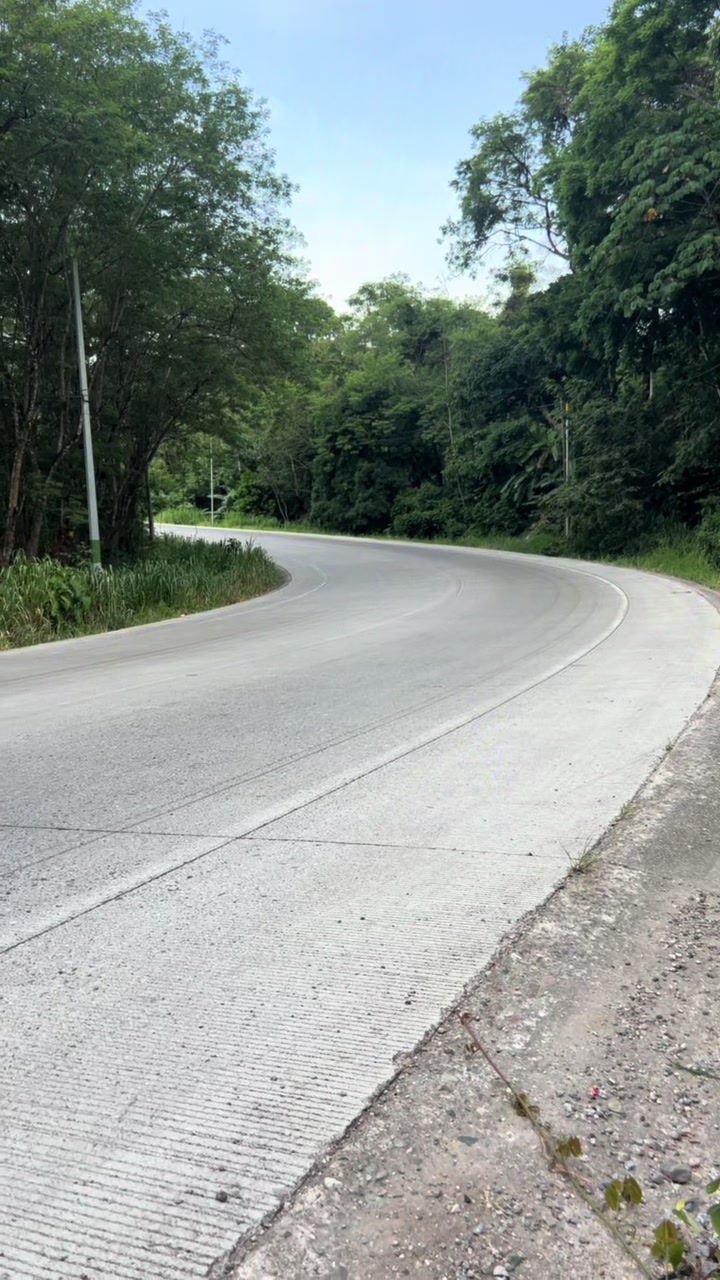 @JAVIER PORTILLO🐌🇭🇳🛩️