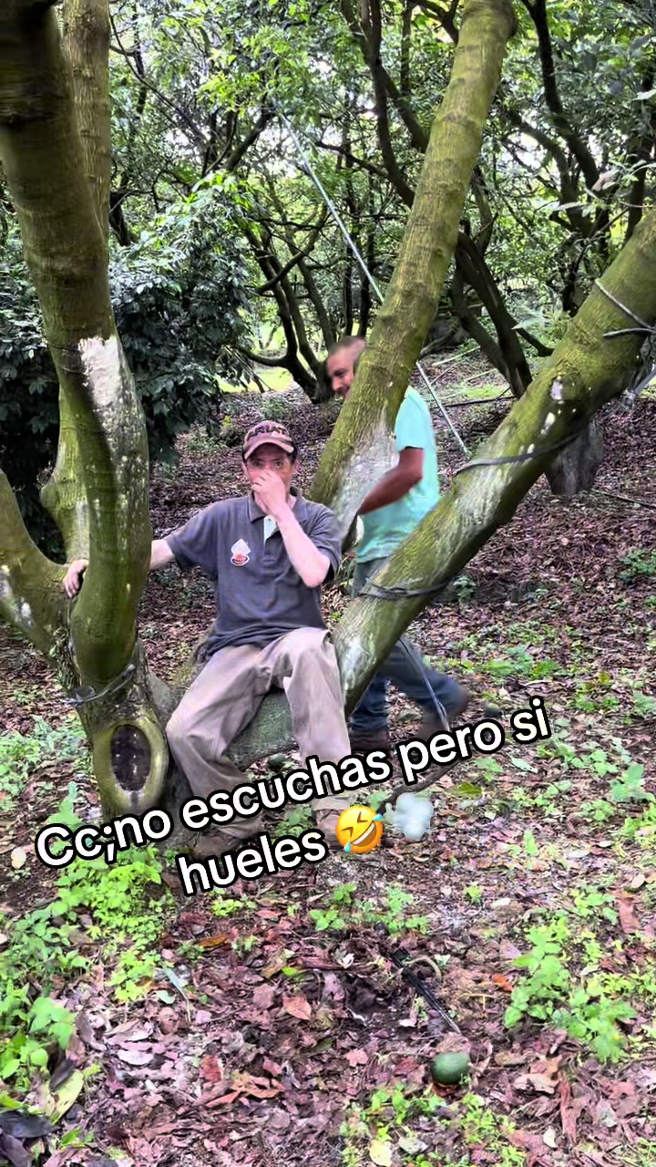 @EL SEÑOR DE LOS PEDOS