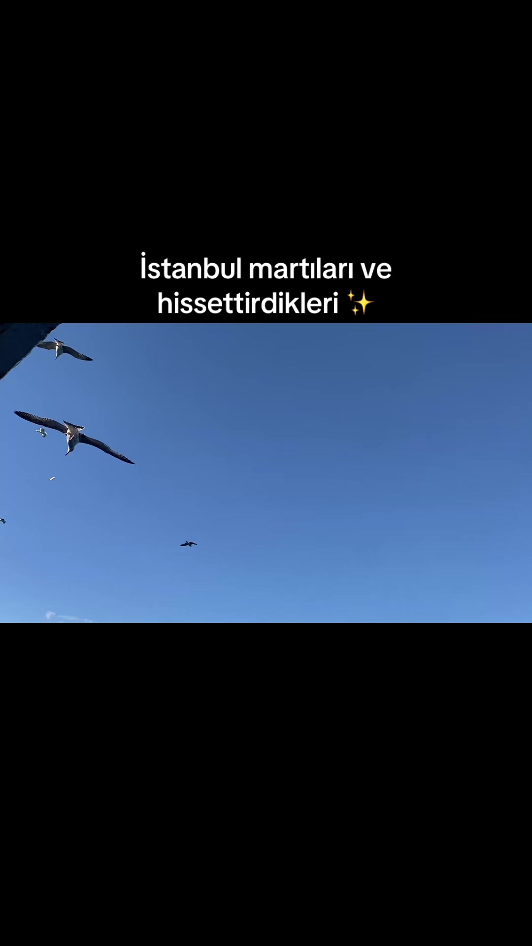@heyitsgizem