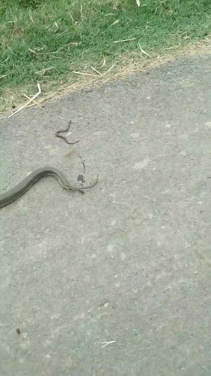 @Ashok kr Yadav