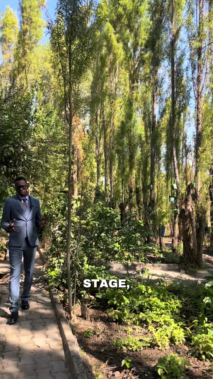 @Dr Lesa Lesa Jr