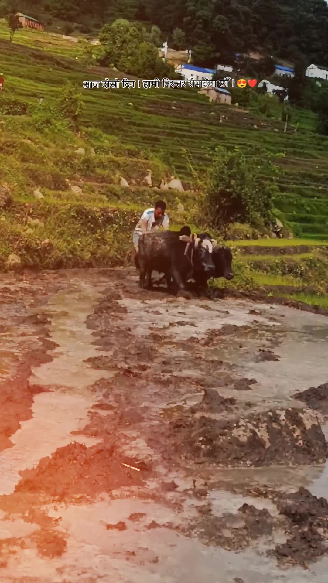 @Karan Simkhada