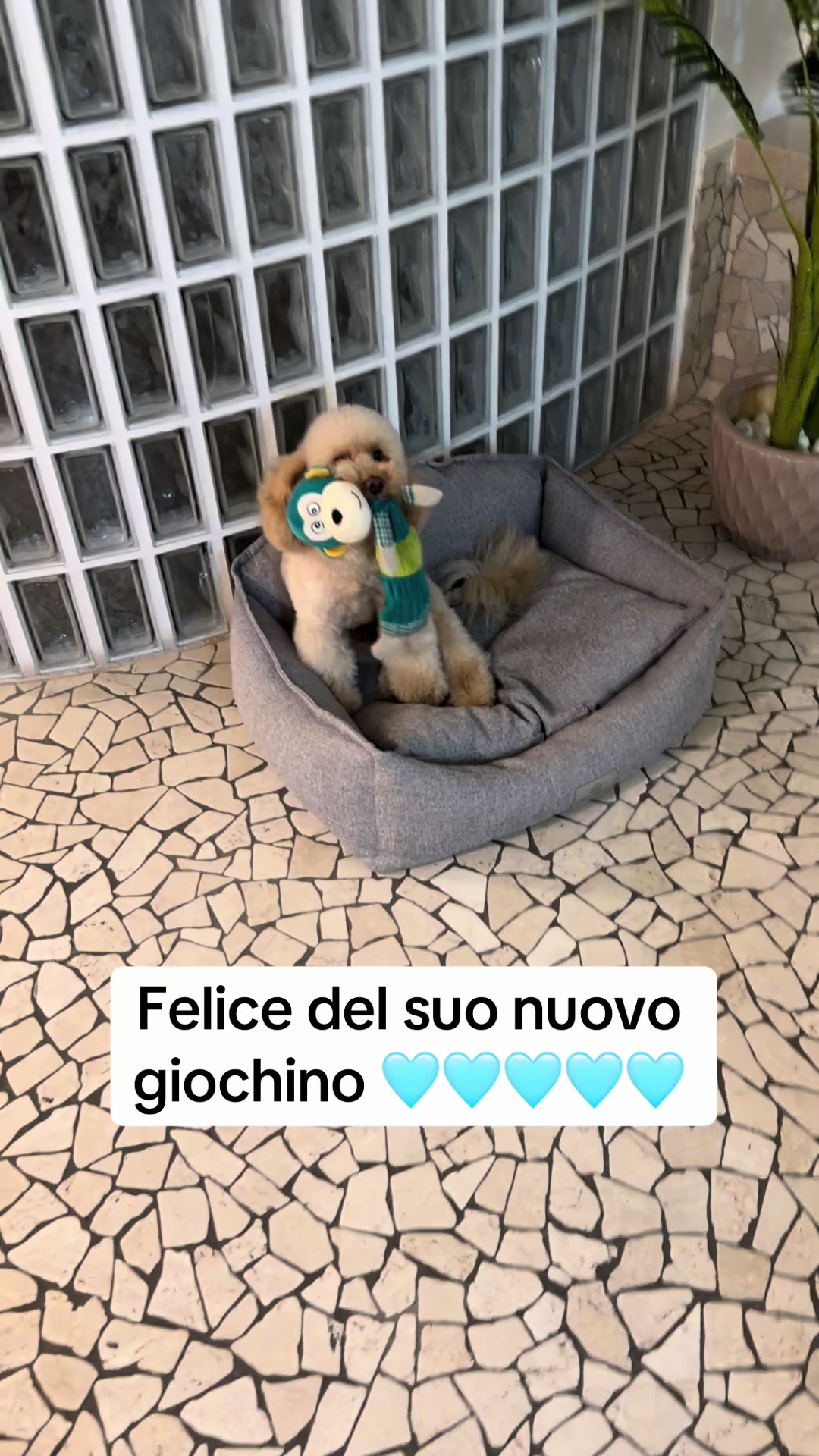 @Annalisa ❤️