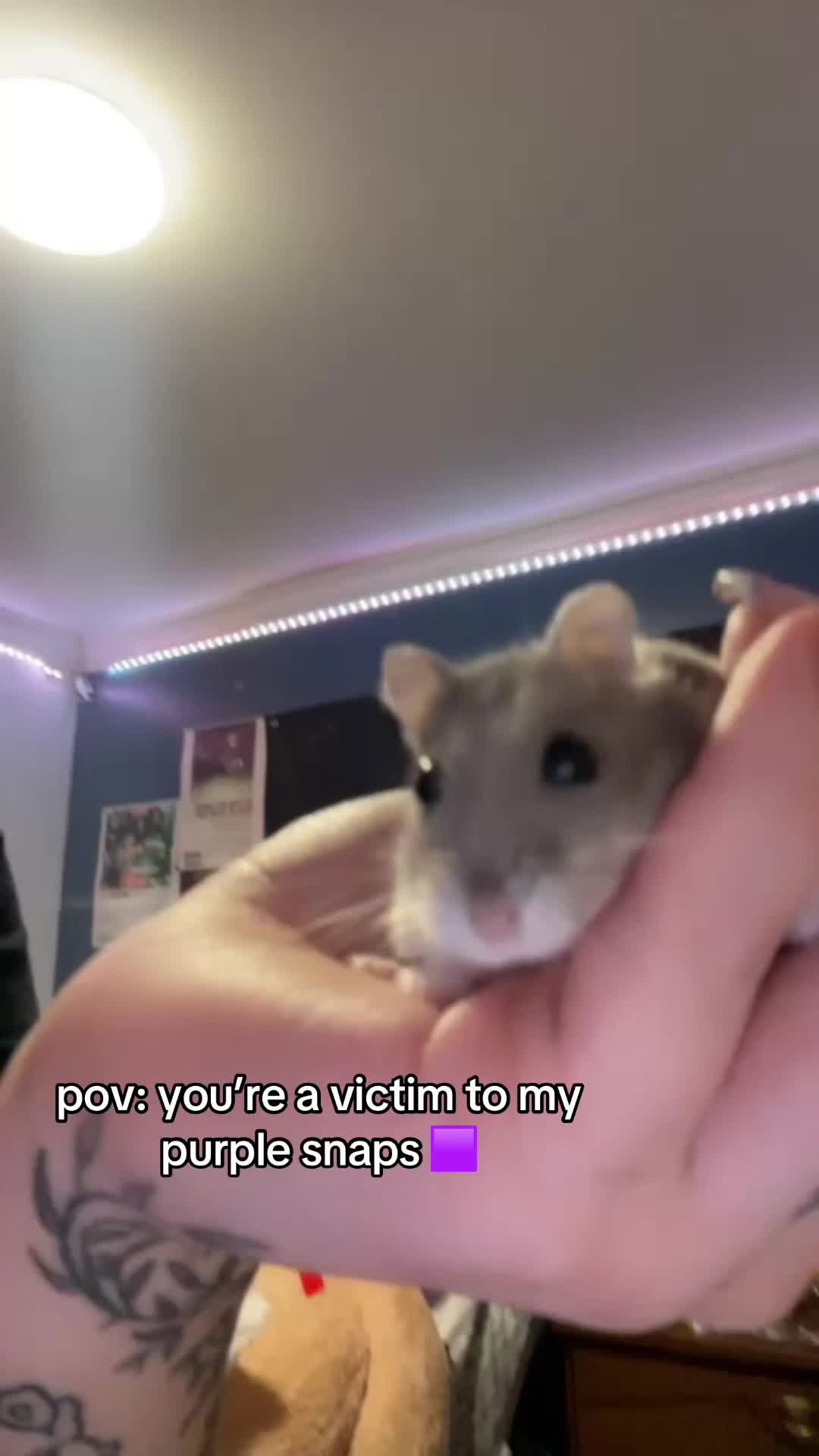 @faithy