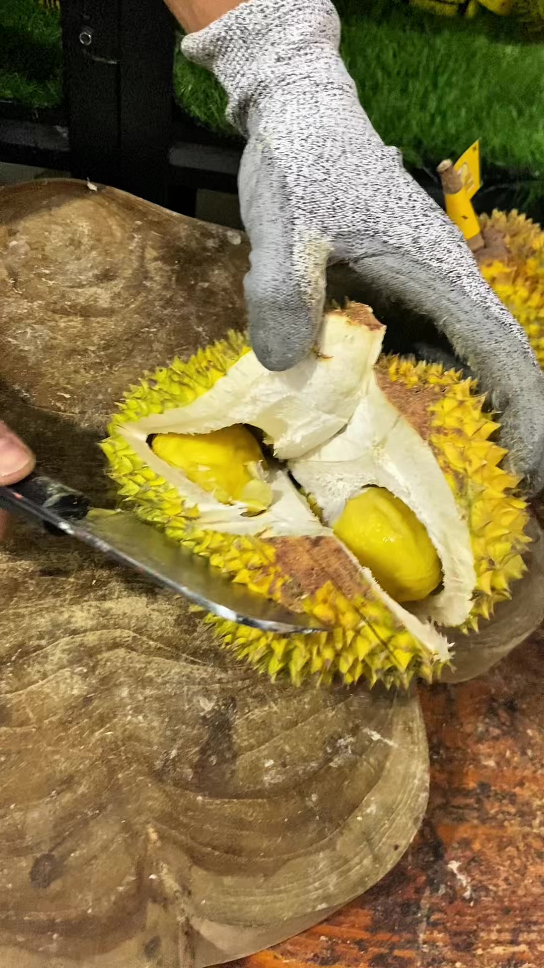 @CICIP DURIAN