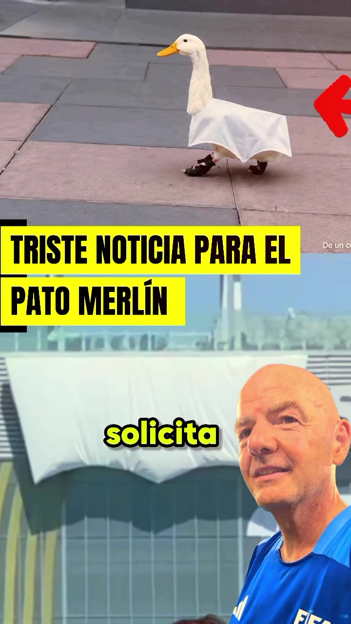 @Viralizados