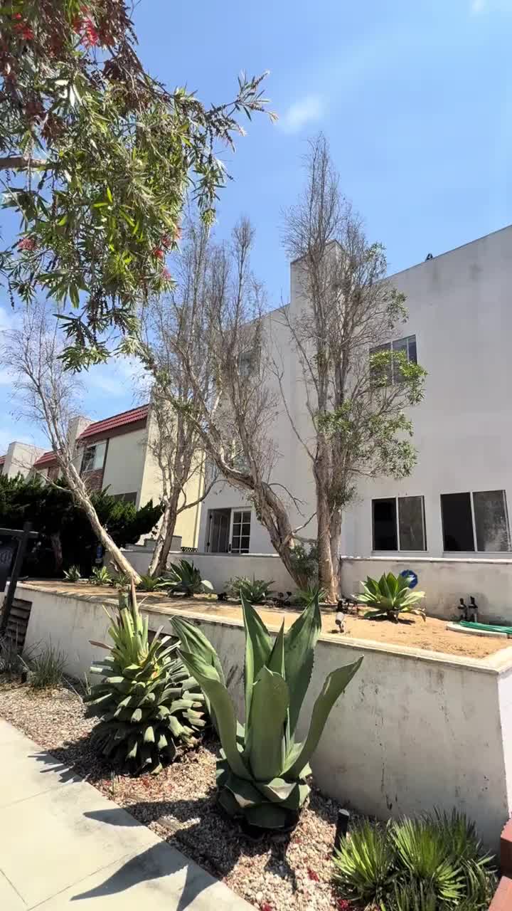 @norcalrealestate8