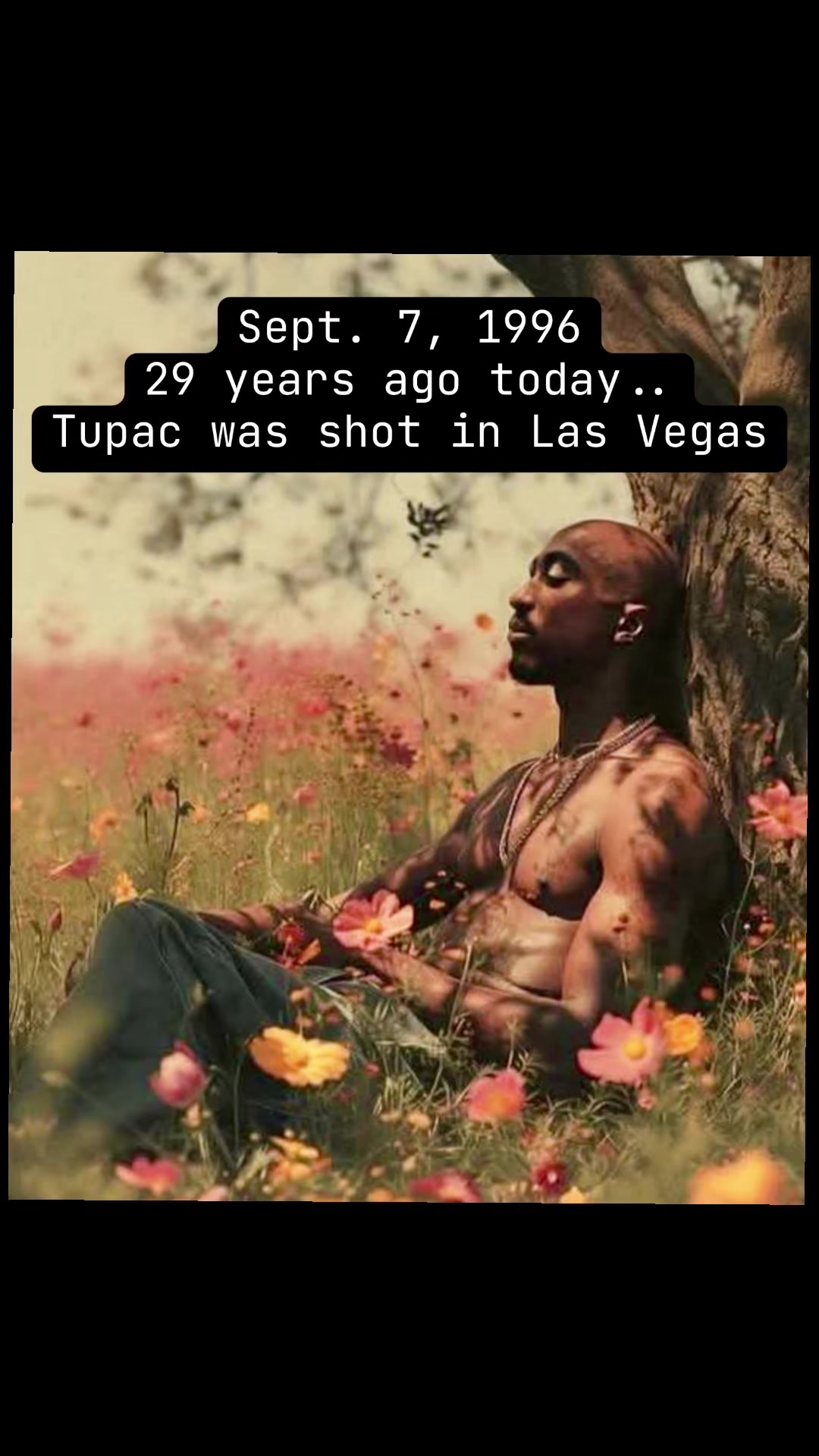 @IvanOOZE