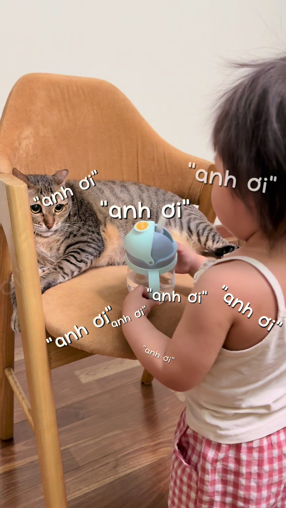 @Gia Đình Cá Cua
