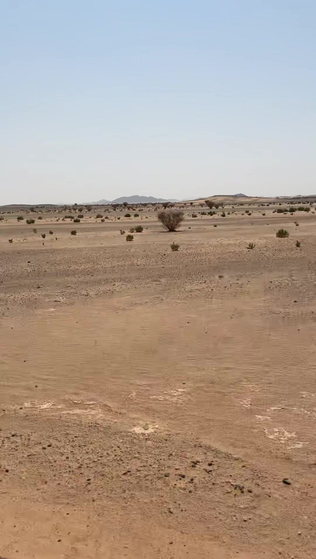 @سلطان |2006