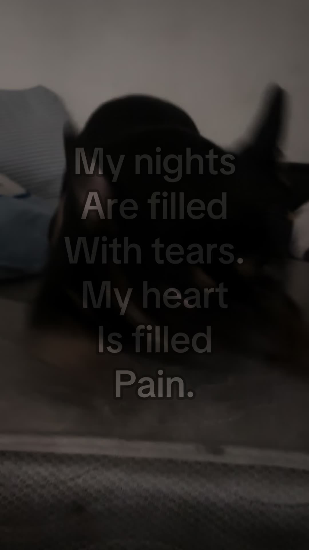 @𝖚𝖓𝖐𝖓𝖔𝖜𝖓𝖓𝖌𝖆🕷