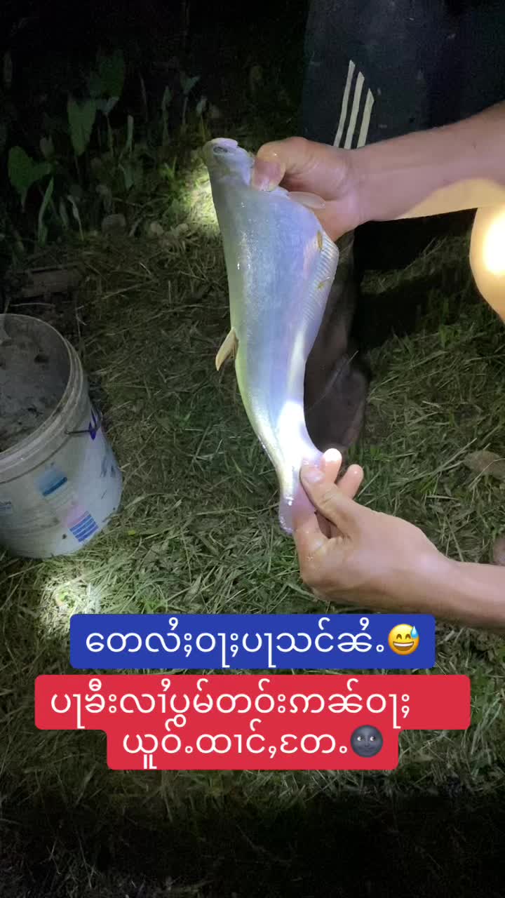@🔐Mung&ensp;မွင်ႇ✔️❤️1.1M🙏