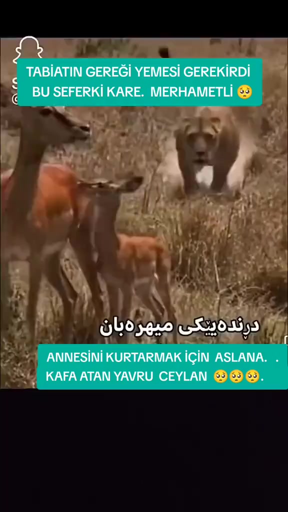 @İsmailaydın3659