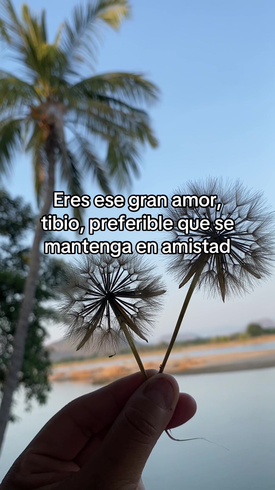 @🌙Mariana De la Noche✨