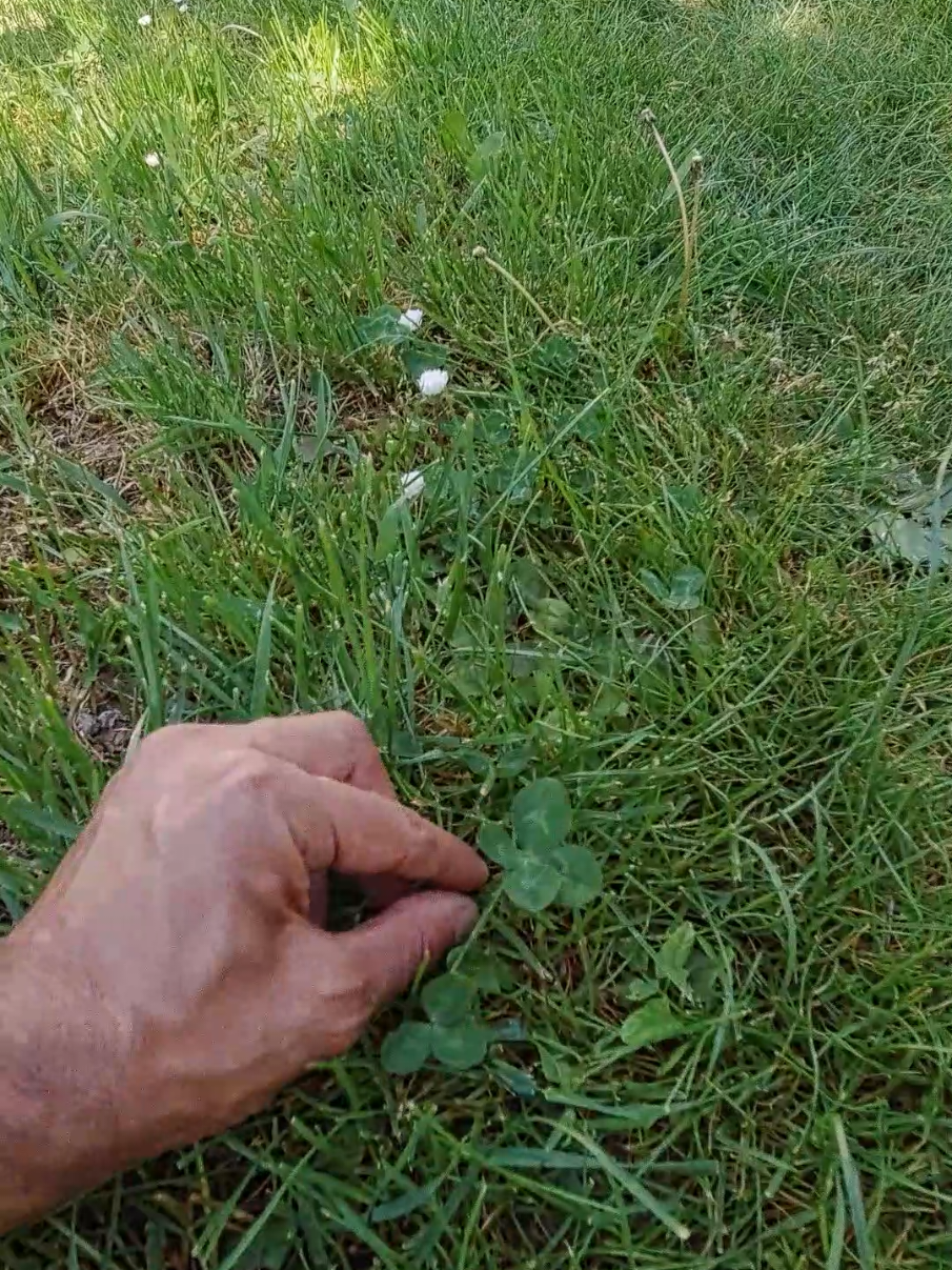 @𝐑𝐢𝐜𝐡𝐚𝐫𝐝