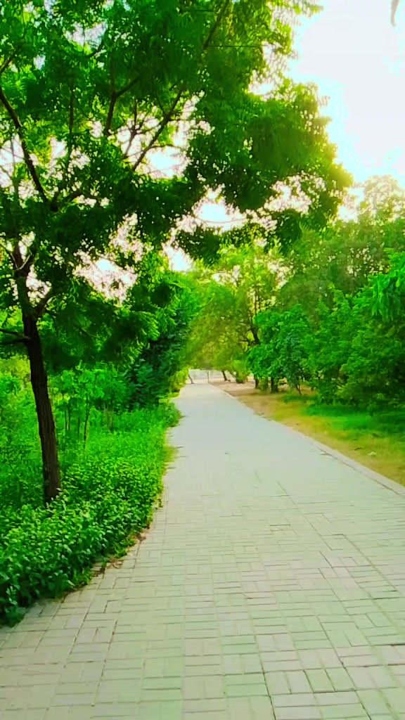 @💥شیخ حمزہ  قریشی کلونی والا