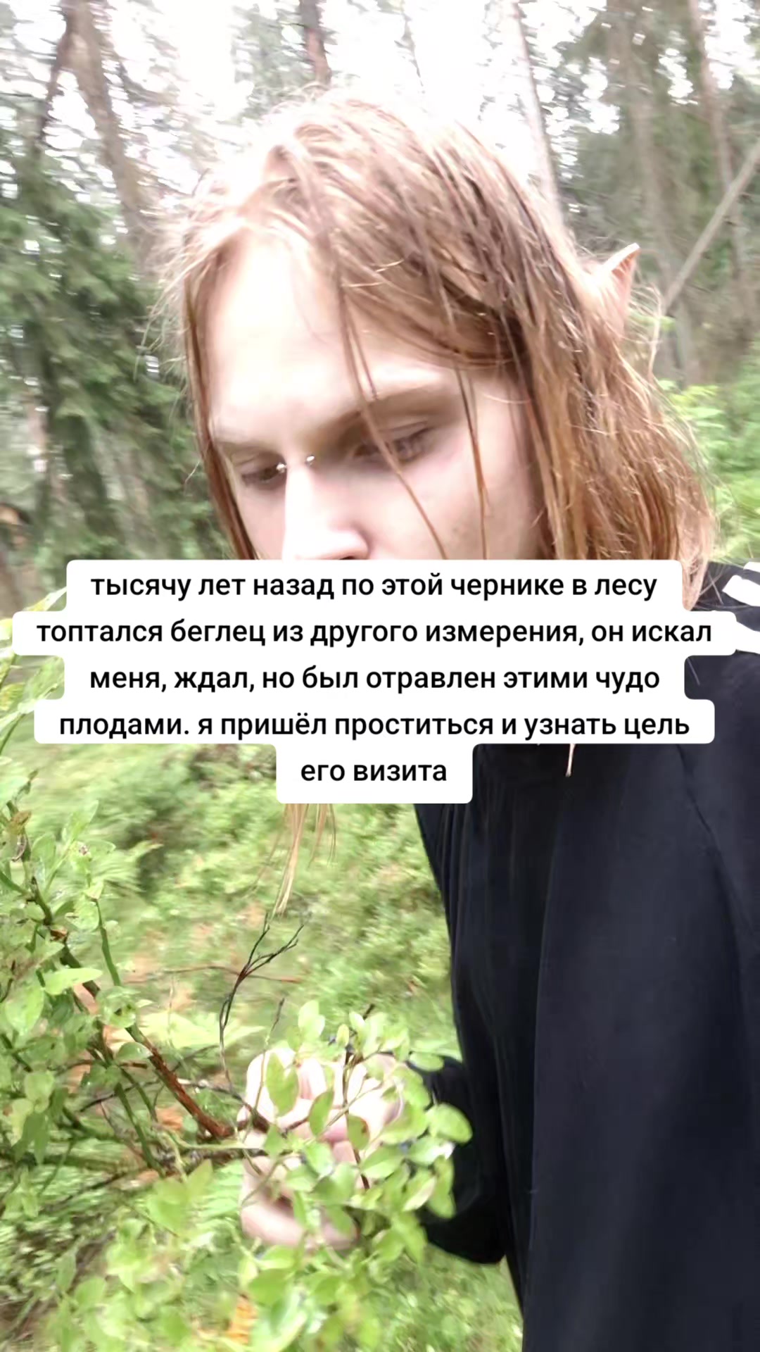 @sadkrou