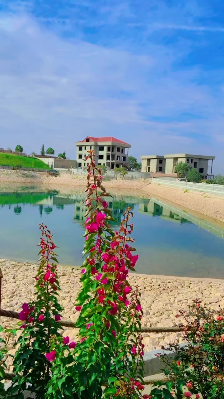 @دیدار گلۆ