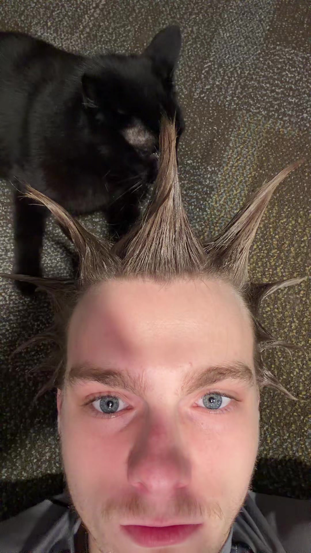 @Moldycheese