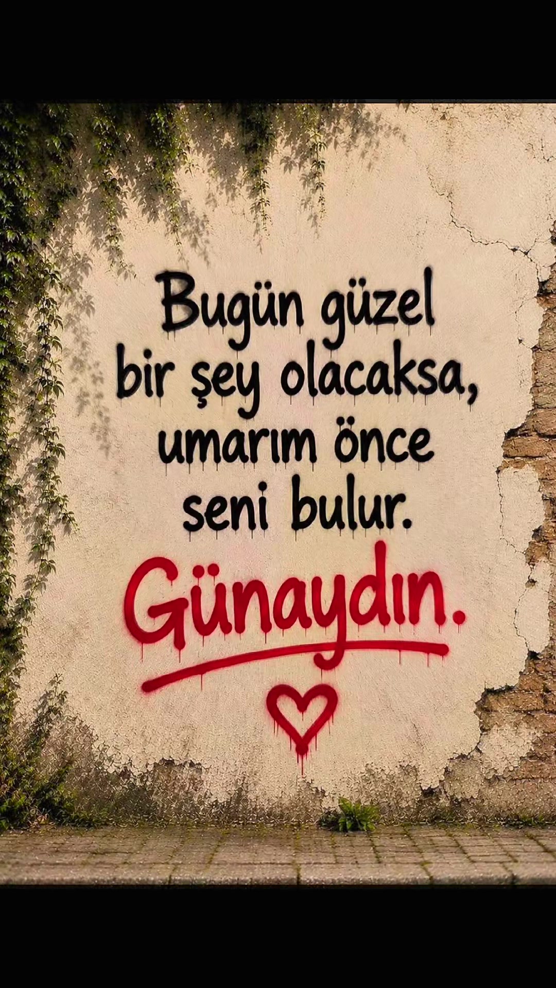 @Musa-Yldrm 0406