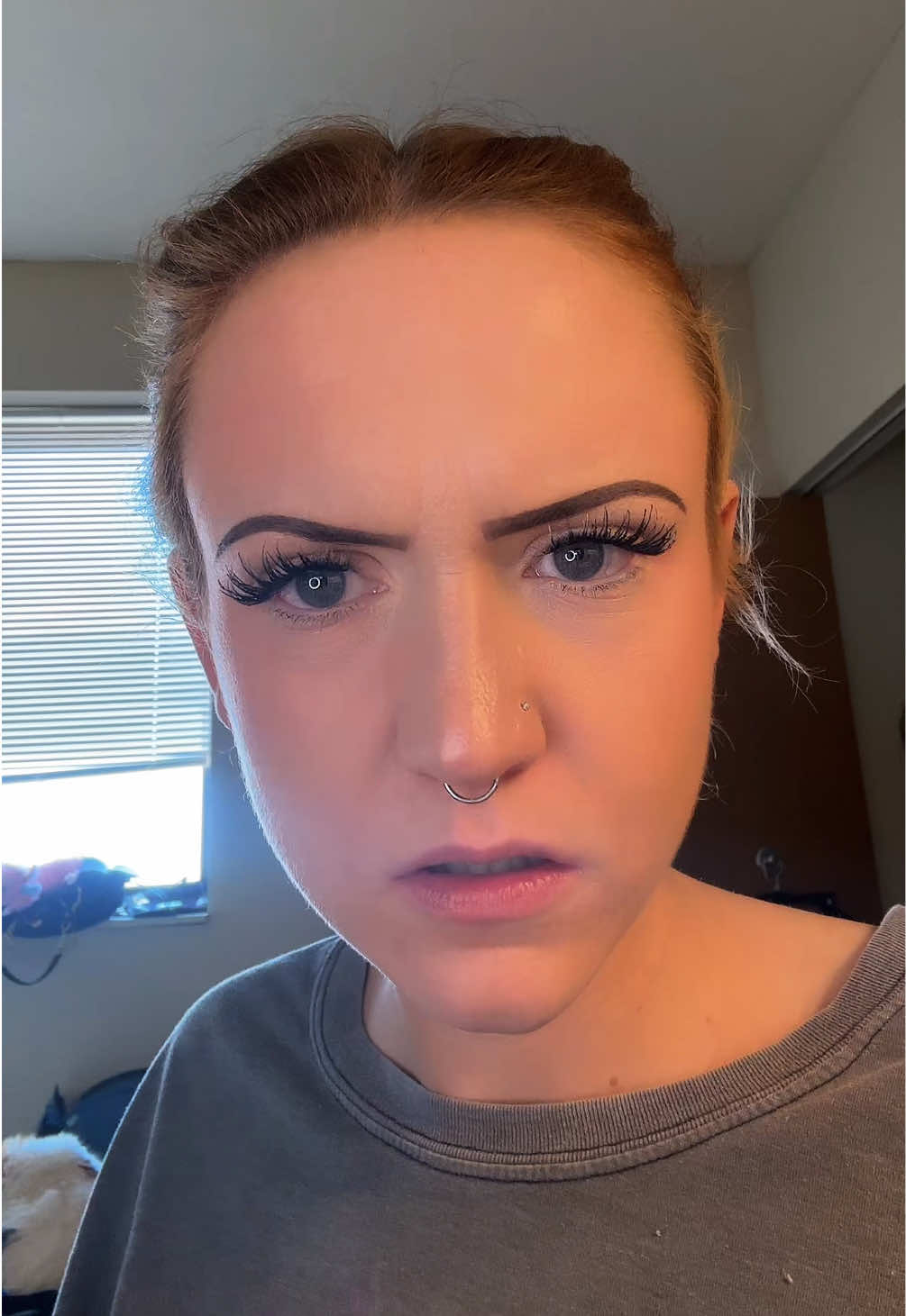 @aurorasaurus