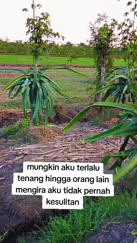 @Dwi Yanie29