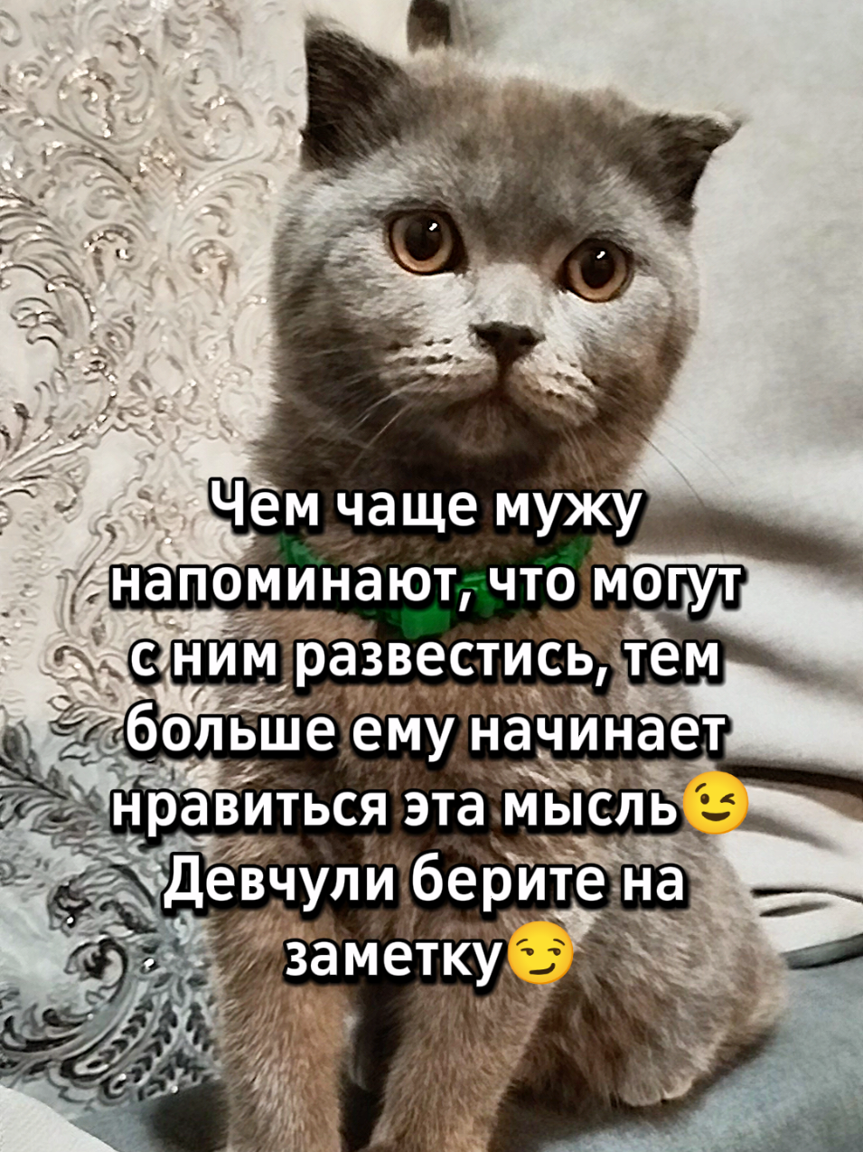 @😻Риччи&Джесси🐈Масик👼&Андрей