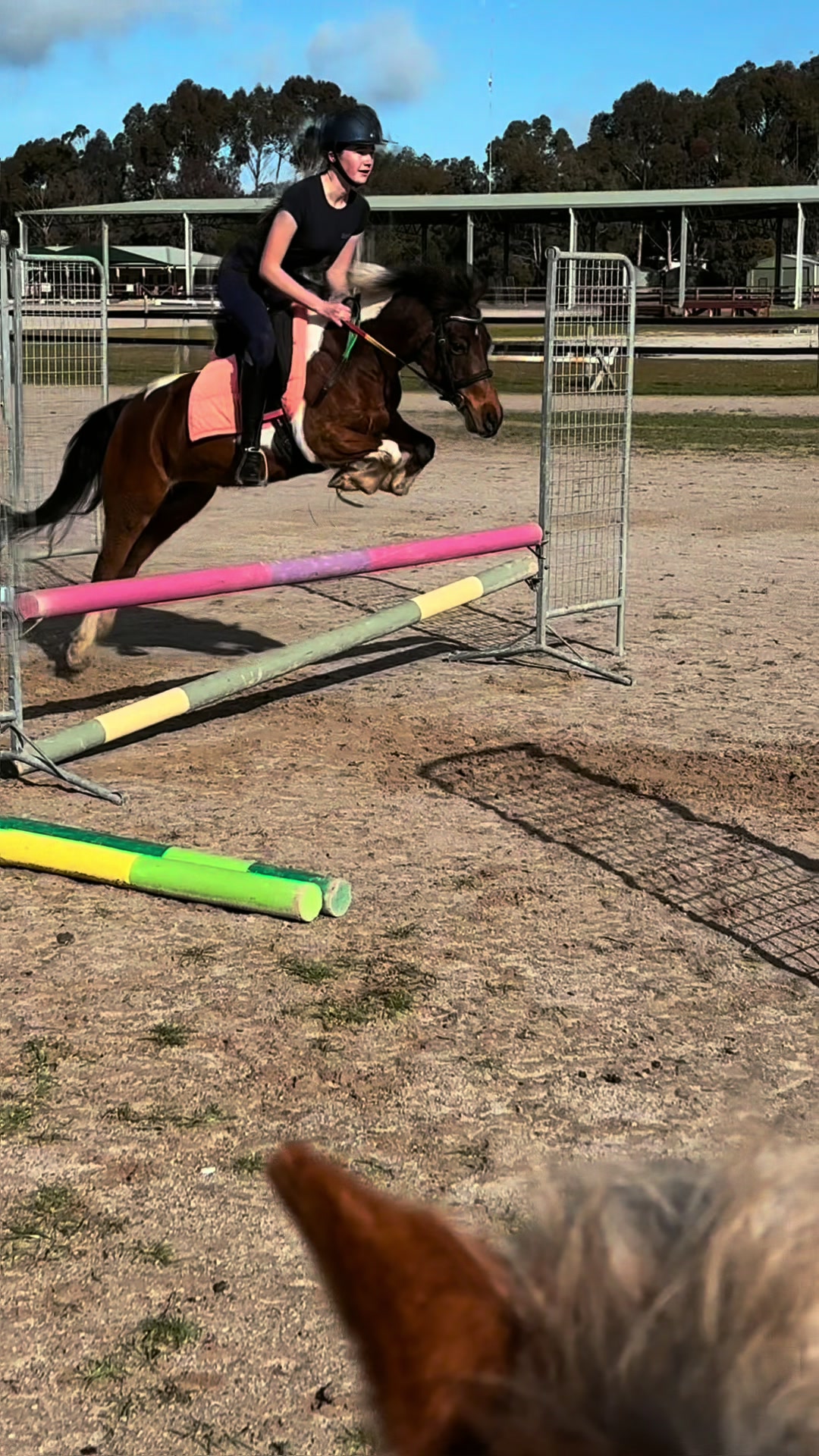 @🖤 Savs ponies🤍