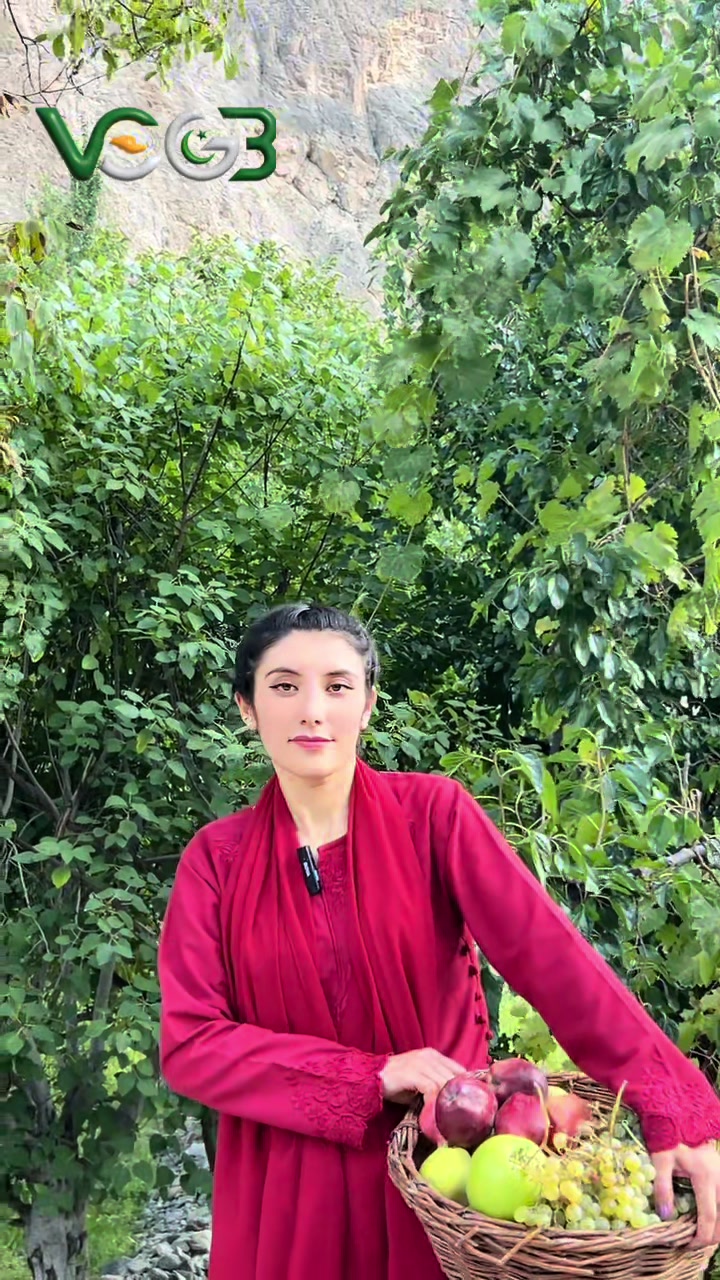 @Voice Of Gilgit Baltistan