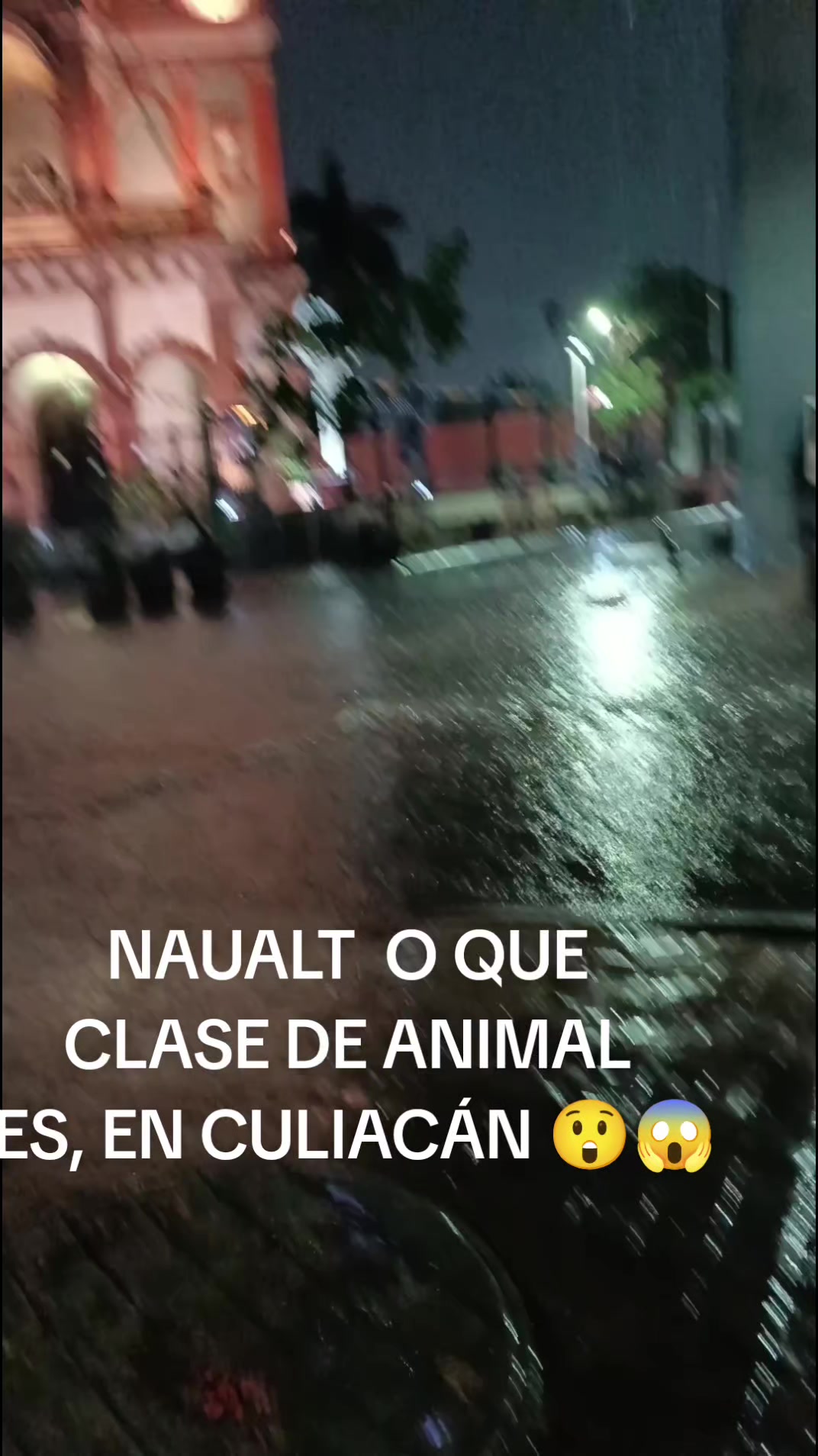 @alonsocotaquintero