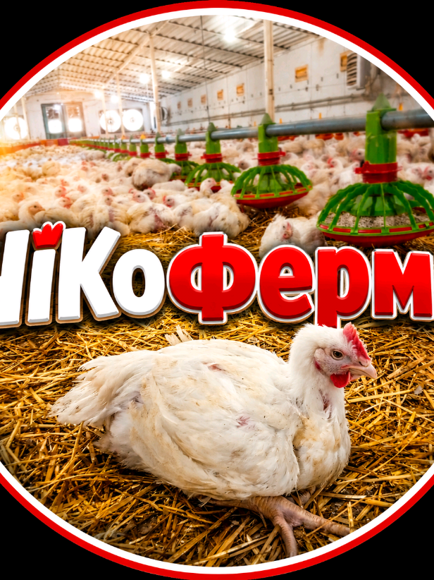 @ЧіКоФерма