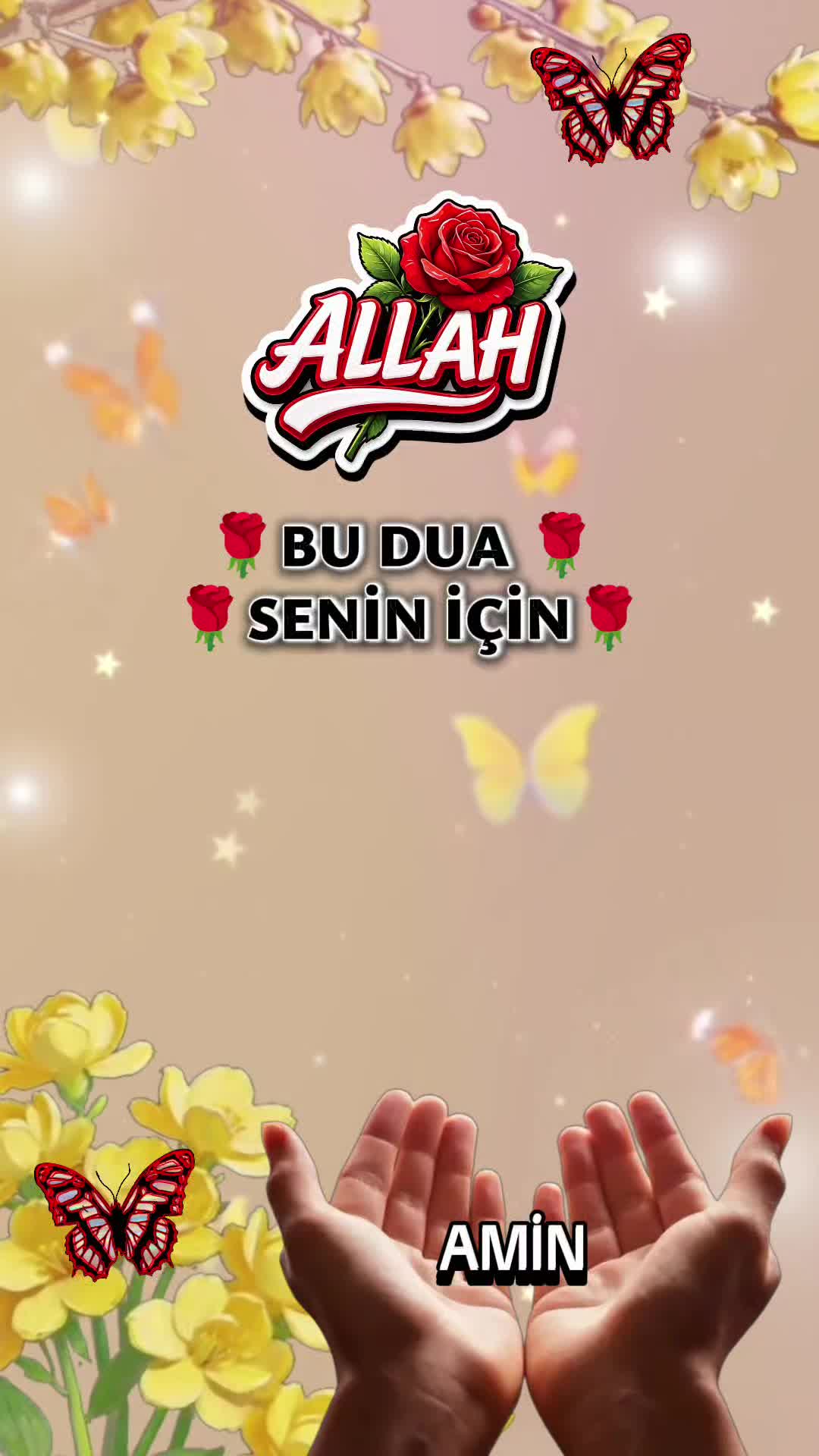 @@hayatsevinceguzel5537