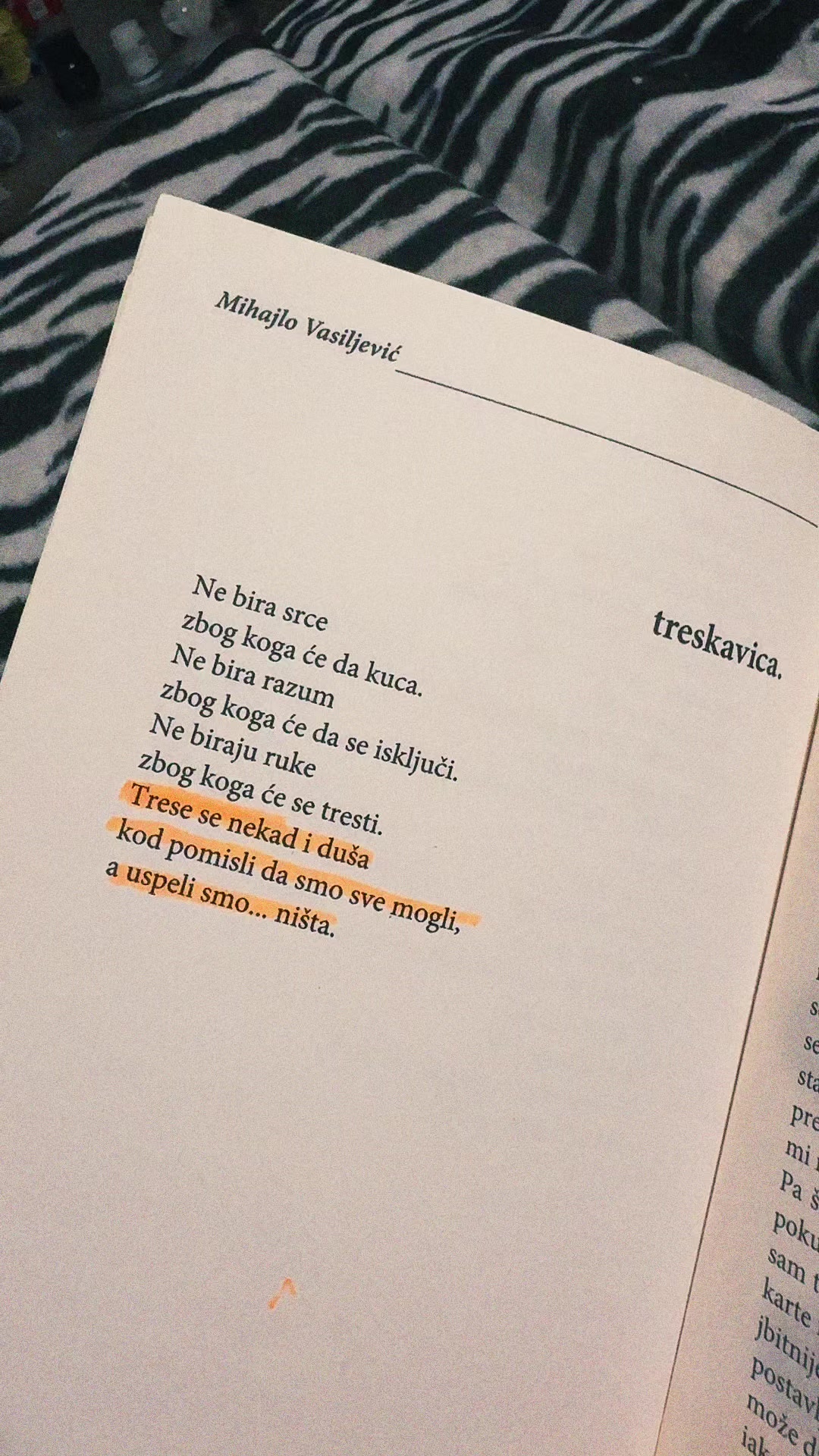 @mihajlovasiljevic