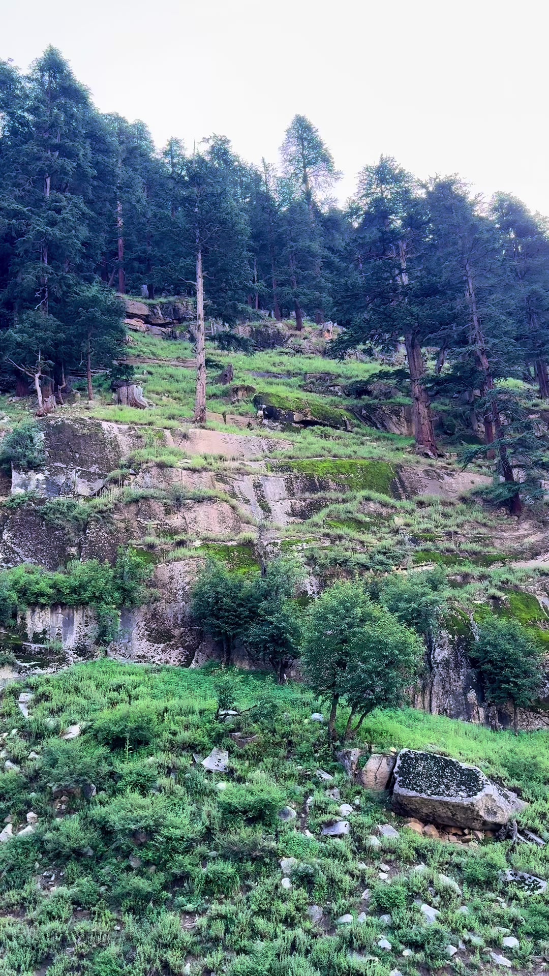 @🚩میر بالا چ۔ بلوچ🚩