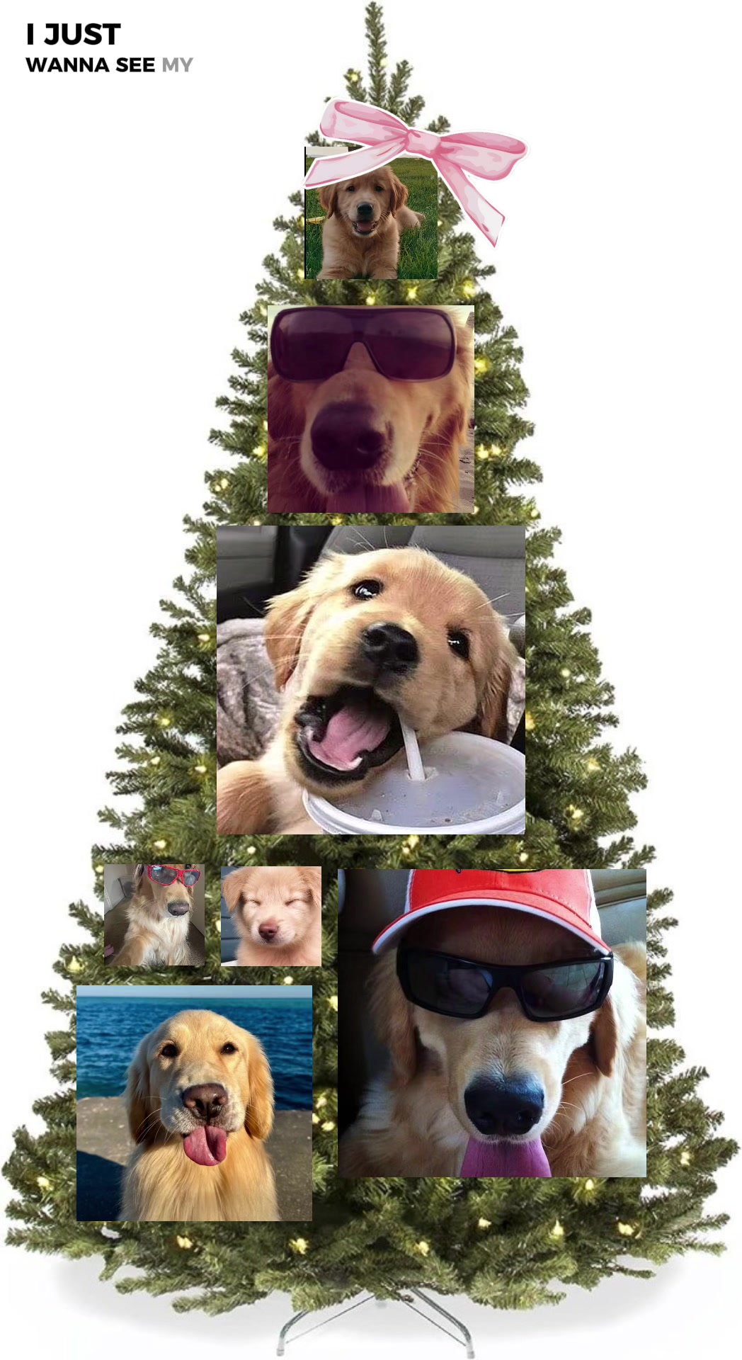 @I love golden retriever twice
