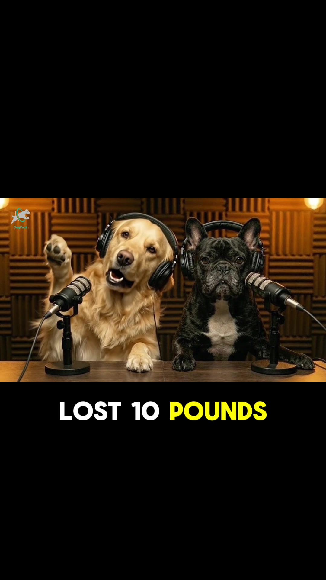 @DogPack