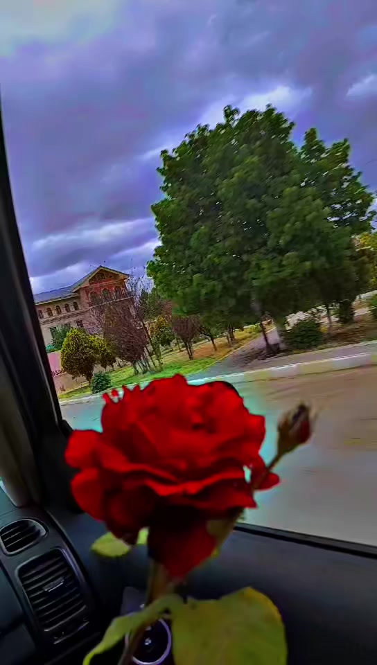@🌙AyGün☀️